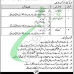 PDMA Jobs 2025 Provincial Disaster Management Authority Apply Online PDMA Jobs
