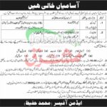 Inspectorate of Electronics & Instruments Jobs