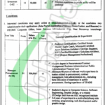 Online Apply FIEDMC Jobs 2025 Faisalabad Industrial Estate Development and Management Company FIEDMC Jobs