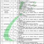 Apply in Cadet College Spinkai Jobs