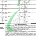 Punjab Police Sub Inspector Jobs