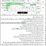 Session Court Nowshera Jobs