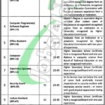 Information Technology University Lahore Jobs