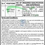 PO Box 267 GPO Peshawar Jobs