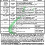 PHC Jobs