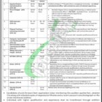 Karnal Sher Khan Cadet College Swabi Jobs