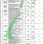 Fisheries Department Punjab Jobs