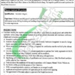 Current Vacancies Punjab Thermal Power Jobs 2025 Energy Department Punjab Thermal Power Jobs