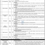 PIC Peshawar Jobs Advertisement 2025 www.pic.edu.pk PIC Peshawar Jobs