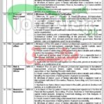 Finance Department KPK Jobs