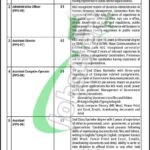  Ministry of Planning Development & Special Initiatives Jobs