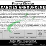 Finance Division CEO Jobs