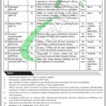 KPT Jobs
