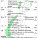 Online Apply Civil Aviation Authority Jobs 2025 Latest Advertisement Civil Aviation Authority Jobs