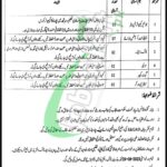 Population and Health Department Punjab Jobs