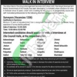 Surveyor Jobs