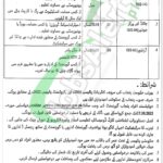 Special Education Department Punjab Jobs