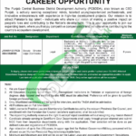 CBD Punjab Jobs