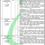 Punjab Agriculture Food Drug Authority Jobs