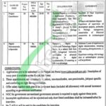 Tourism Archaeology and Museum Department Jobs