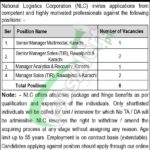 NLC Jobs