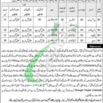 Civil Court Orakzai Jobs