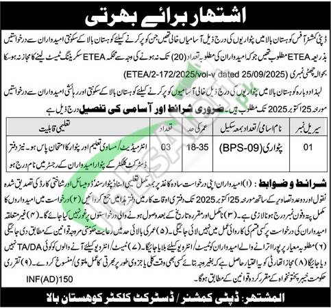 Deputy Commissioner Kohistan Jobs 2025 Latest Advertisement Deputy Commissioner Kohistan Jobs