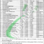 Apply Online PITB Jobs 2025 Govt of Punjab | jobs.punjab.gov.pk PITB Jobs