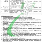 Public Sector Organization KPK Jobs 2025 PO Box 555 GPO Peshawar PO Box 555 GPO Peshawar Jobs