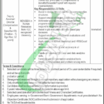 NTL Jobs