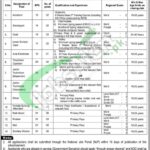 PM Office Internal Jobs