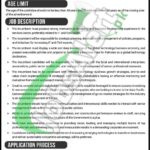 PSEB Jobs 2025 Pakistan Software Export Board Application Form Download PSEB Jobs