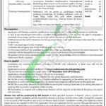Trade Development Authority of Pakistan Jobs
