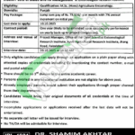 PARB Jobs