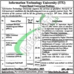 Information Technology University Jobs