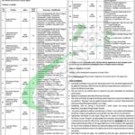 TDCP Jobs
