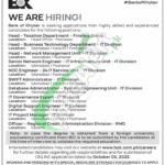 bok com pk careers