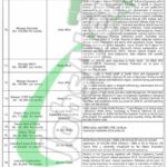 PPHI Sindh Jobs 2025 Apply Online Latest Advertisement PPHI Sindh Jobs
