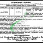 Cadet College Choa Saiden Shah Jobs 2025 Employment Opportunities Cadet College Choa Saiden Shah Jobs