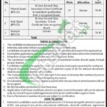 Join Public Sector Organization KPK Jobs 2025 Latest PO Box 555 Peshawar PO Box 555 Peshawar Jobs