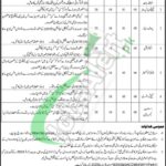 Health Department Sindh Jobs