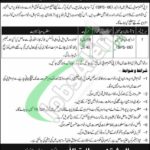 Deputy Commissioner Office Swabi Jobs