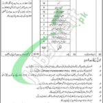 Population Welfare Department KPK Jobs 2026 Application Form Download Population Welfare Department KPK Jobs