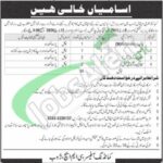 CMH Zhob Jobs