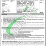 Apply in Trade Development Authority of Pakistan Jobs 2026 TDAP Application Form Trade Development Authority of Pakistan Jobs