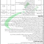 District and Session Court Lakki Marwat Jobs 2026 Application Form Download Session Court Lakki Marwat Jobs
