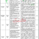 Local Government KPK Jobs 2026 LGE & RDD ETEA Application Form Local Government KPK Jobs
