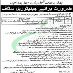 DHQ Hospital Pindi Bhattian Jobs