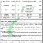 PDMA Jobs 2026 Provincial Disaster Management Authority Apply Online PDMA Jobs