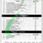 Apply in Planning and Development Department Punjab Jobs 2025 Current Vacancies Planning and Development Department Punjab Jobs